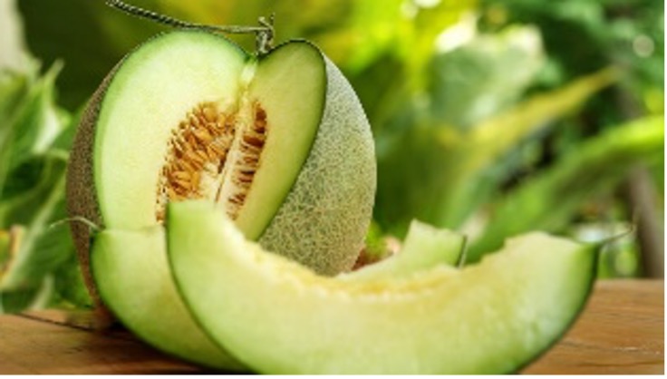 Dưa lưới ruột xanh