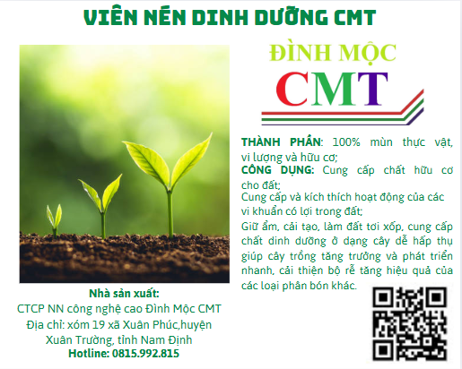 Viên nén dinh dưỡng CMT