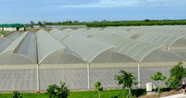 Nhà màng - Công nghệ cao
